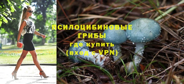 первитин Алексеевка