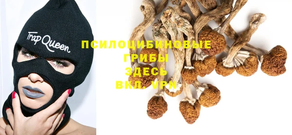 первитин Алексеевка