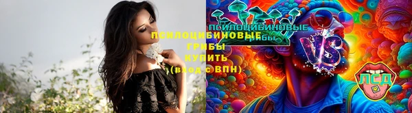 первитин Алексеевка